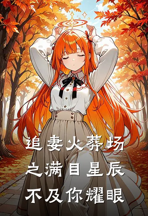 追妻火葬场之满目星辰不及你耀眼