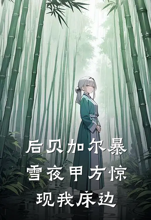 后贝加尔暴雪夜甲方惊现我床边