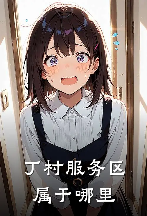 丁村服务区属于哪里