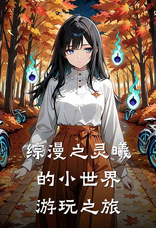 综漫之灵曦的小世界游玩之旅